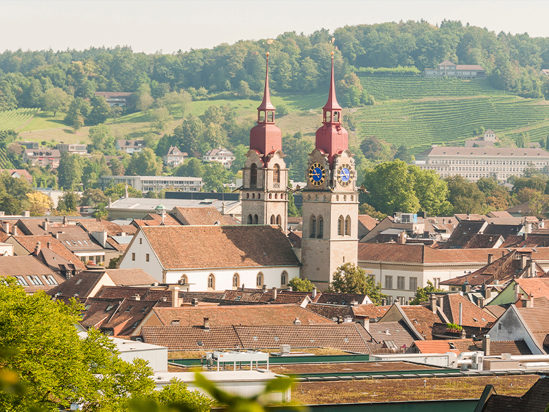 Vertrieb Deutschland Schweiz