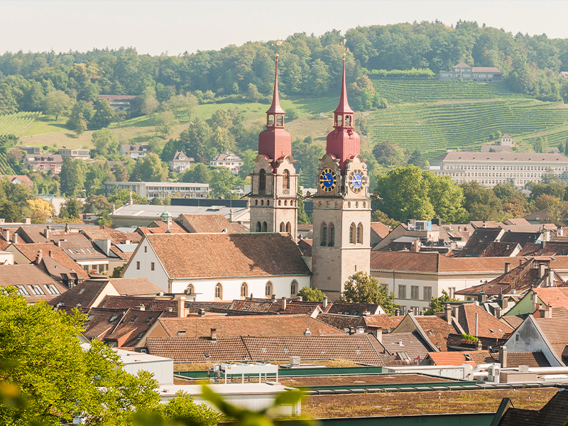 Vertrieb Deutschland Schweiz